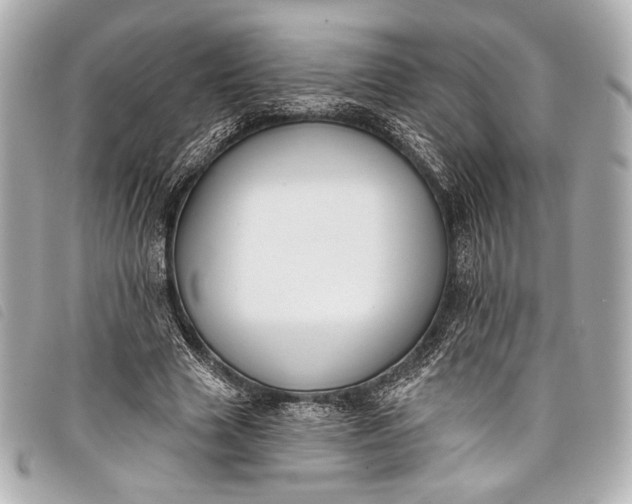 X0000098110633200804181453