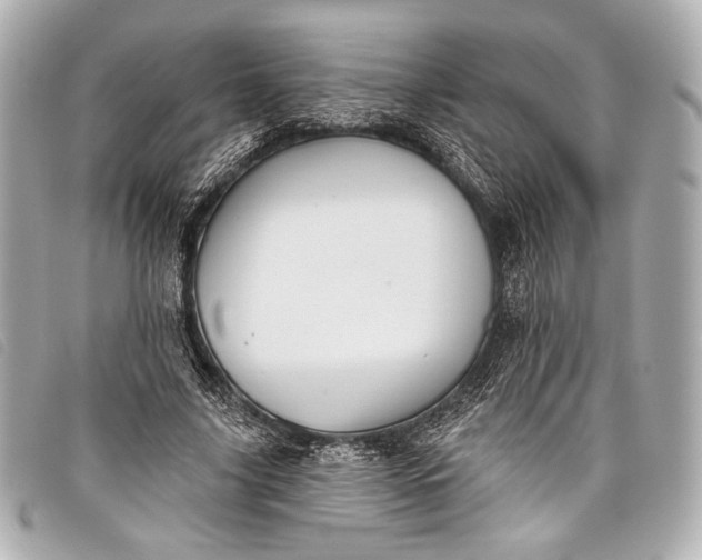 X0000098110635200804181453