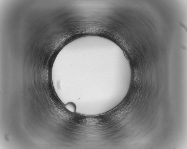 X0000098110636200804181453
