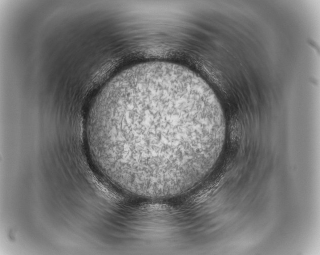 X0000098110637200804181453