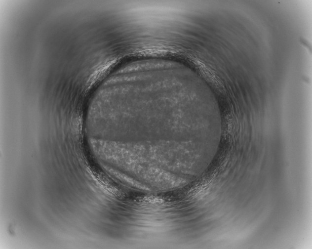 X0000098110640200804181453