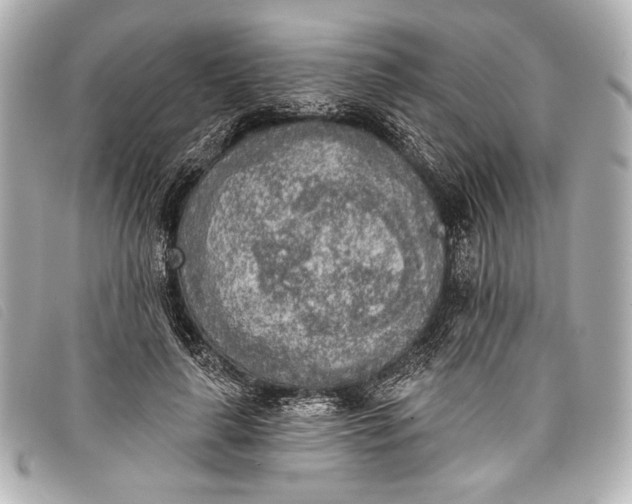 X0000098110643200804181453