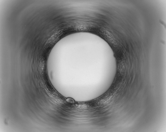 X0000098110645200804181453