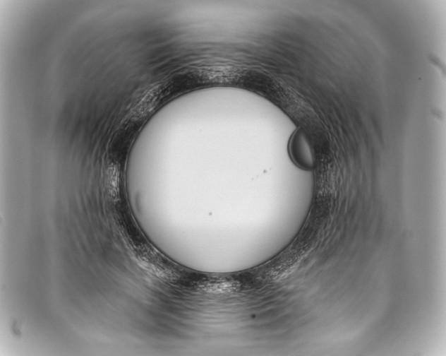X0000098110646200804181453