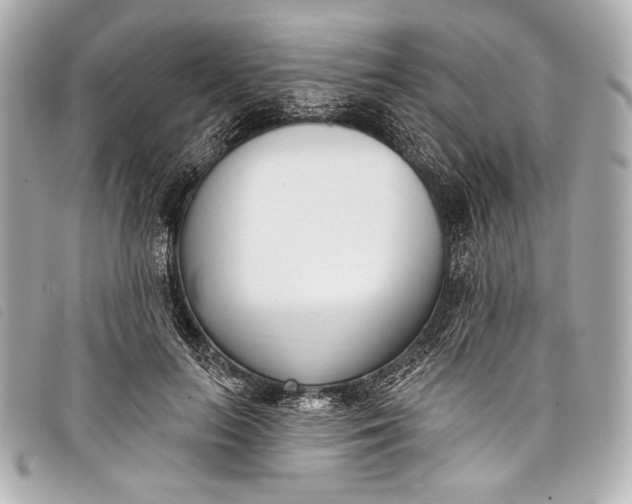 X0000098110647200804181453