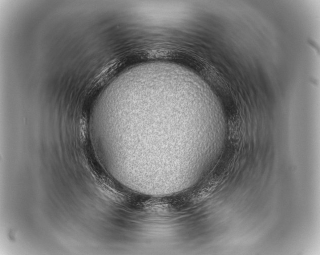 X0000098110648200804181453