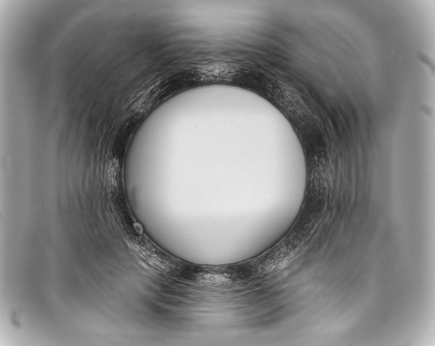 X0000098110649200804181453