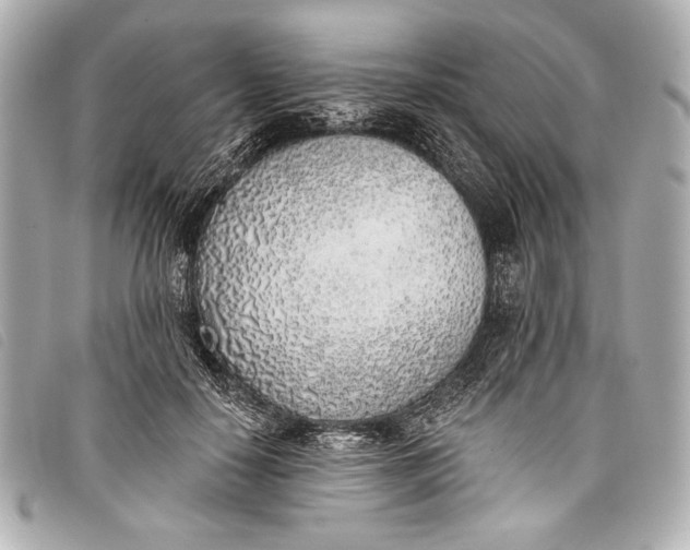 X0000098110650200804181453