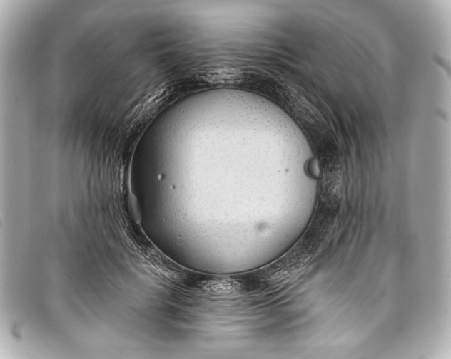 X0000098110652200804181453