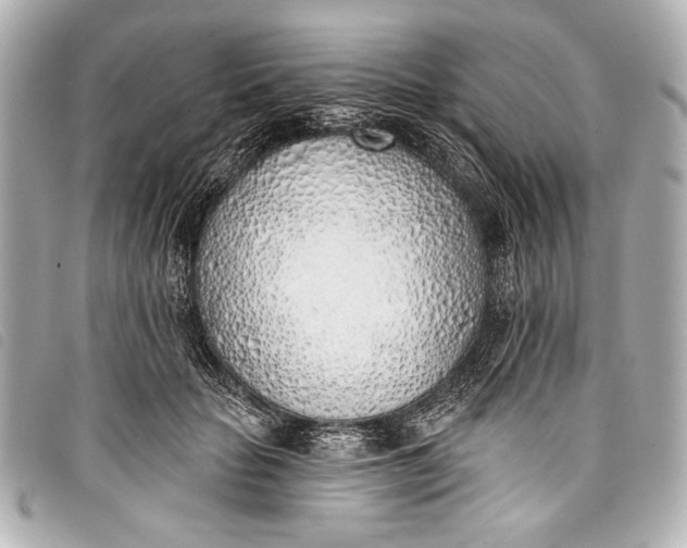 X0000098110653200804181453