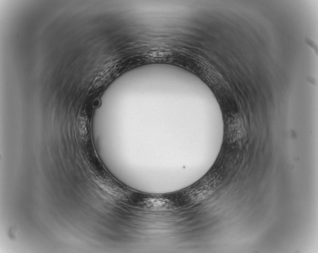 X0000098110654200804181453