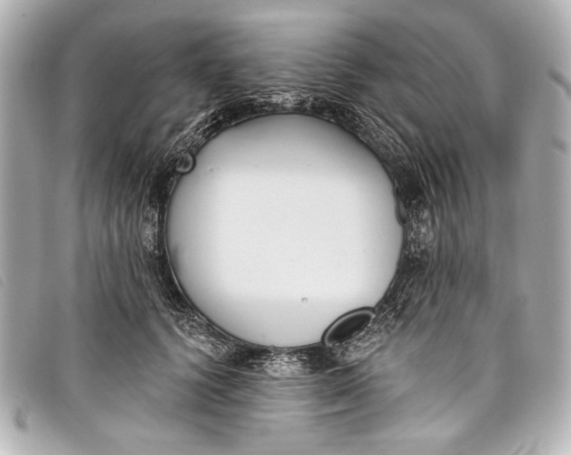 X0000098110656200804181453