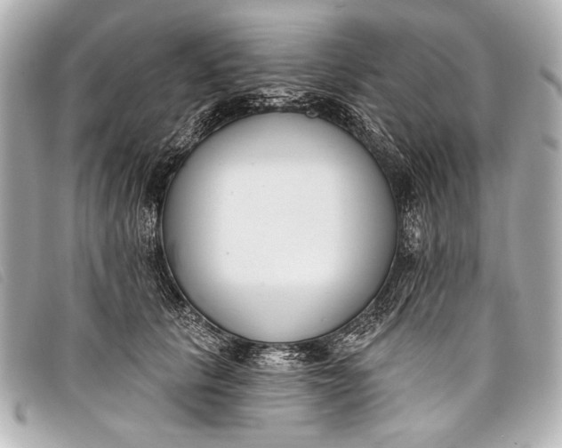 X0000098110657200804181453