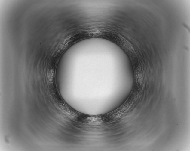 X0000098110660200804181453