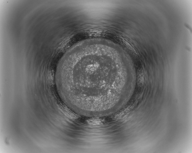 X0000098110661200804181453