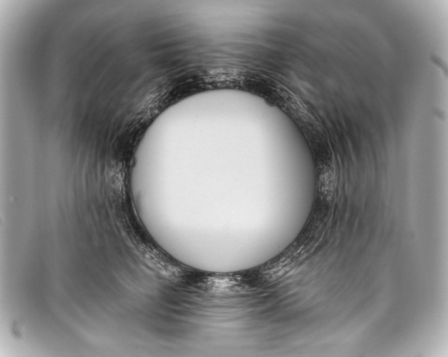 X0000098110662200804181453
