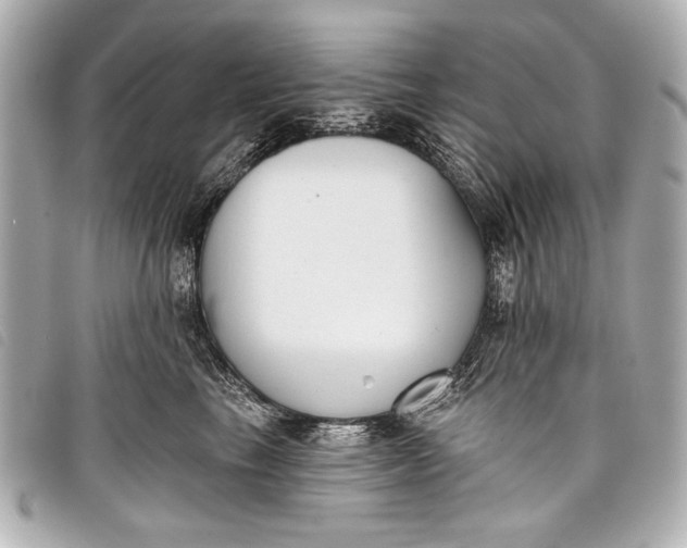 X0000098110665200804181453