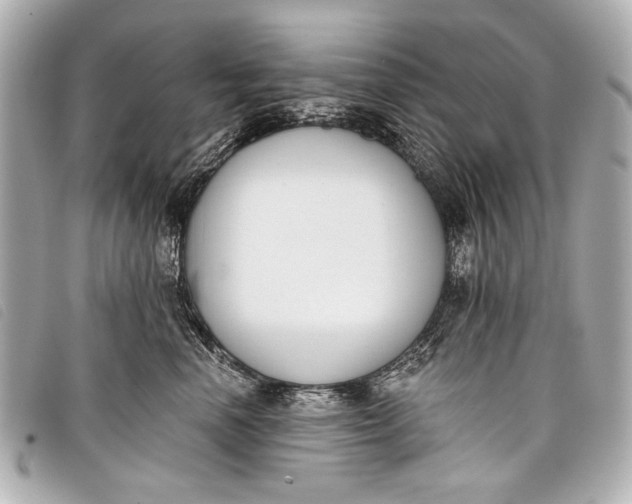 X0000098110666200804181453