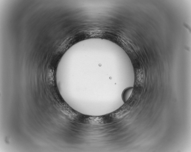 X0000098110667200804181453