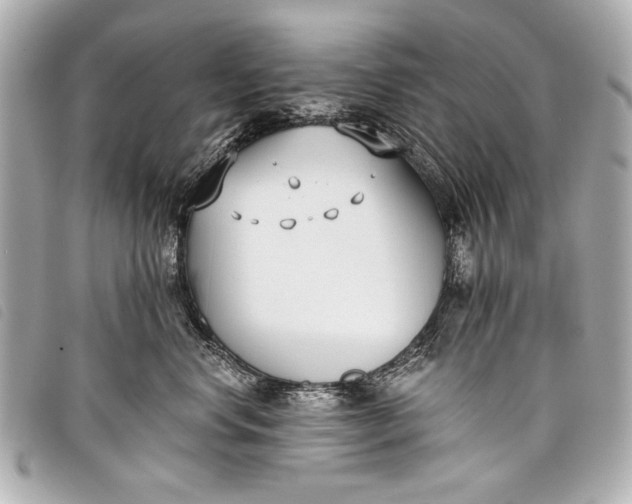 X0000098110668200804181453