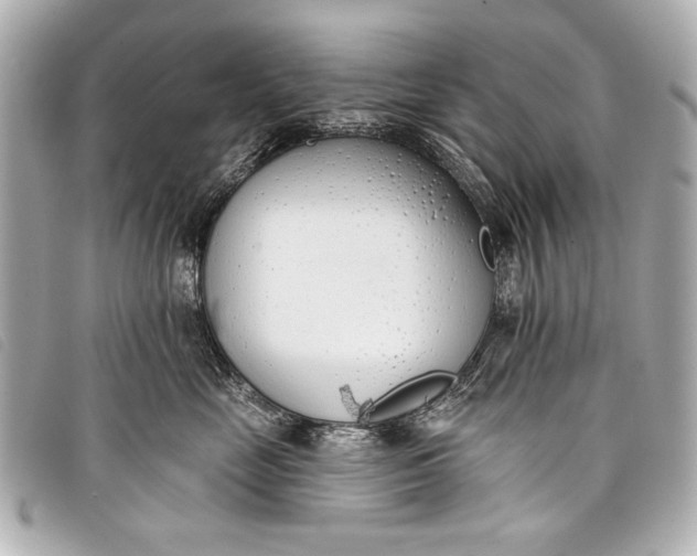X0000098110669200804181453