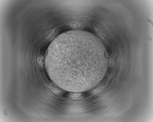 X0000098110671200804181453