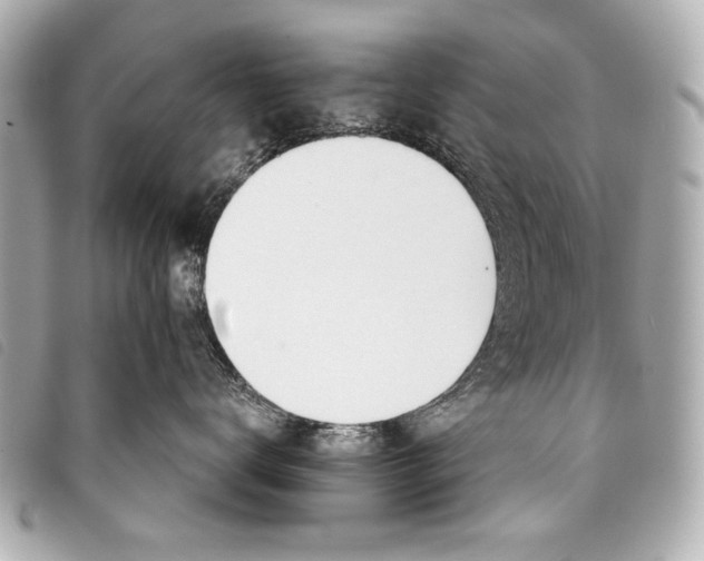 X0000098110672200804181453