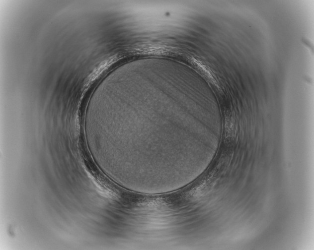 X0000098110674200804181452