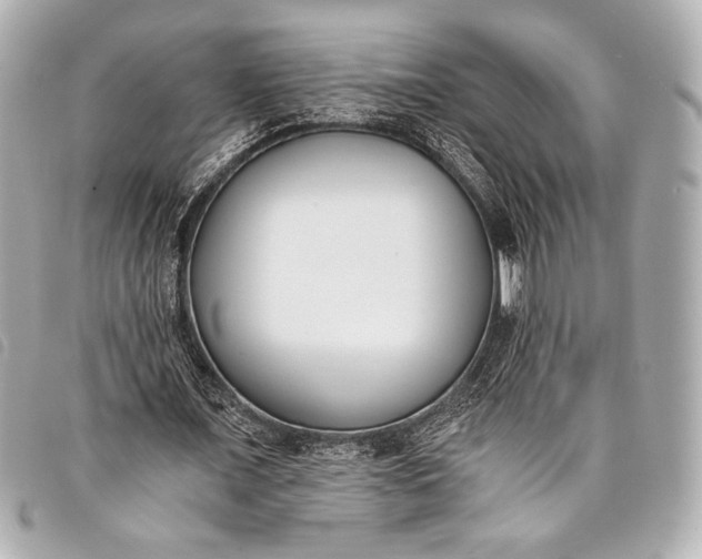 X0000098110675200804181452
