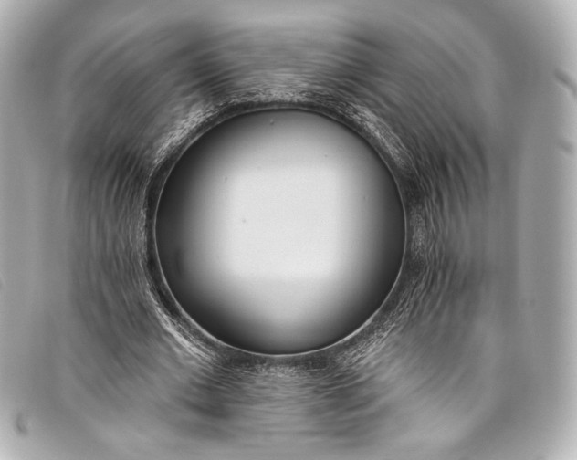 X0000098110677200804181452