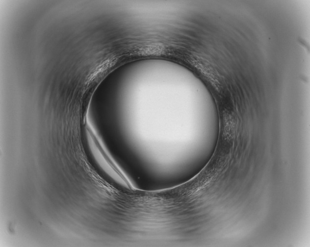 X0000098110681200804181452