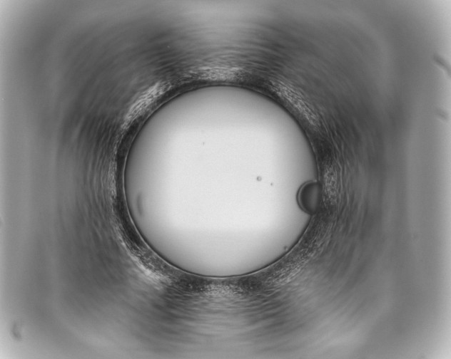 X0000098110682200804181452