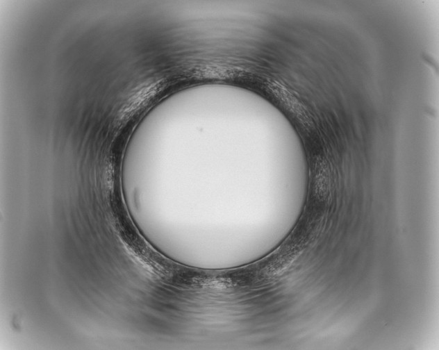 X0000098110683200804181452