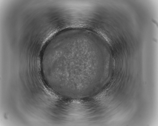 X0000098110684200804181452