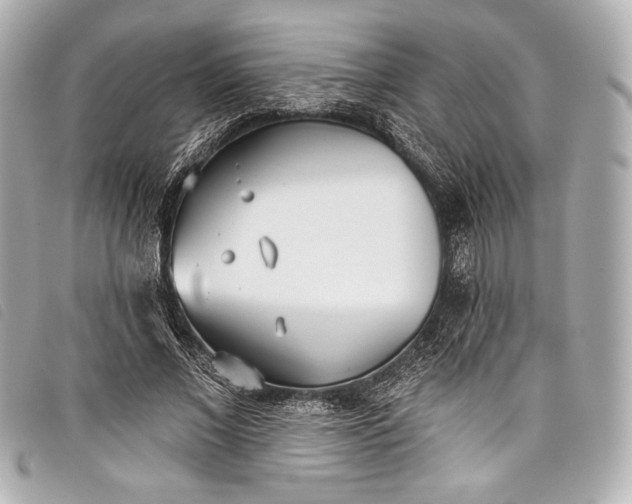 X0000098110685200804181452