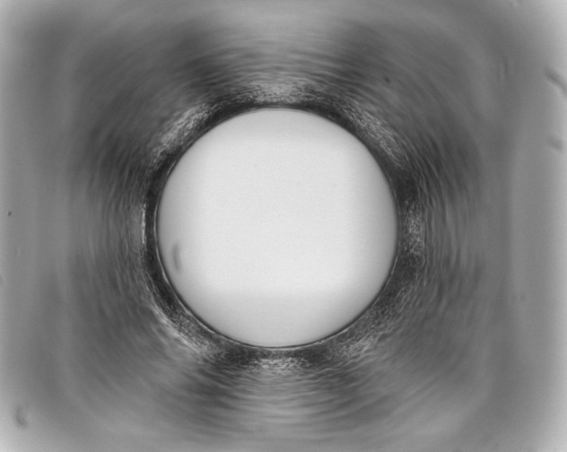 X0000098110686200804181452