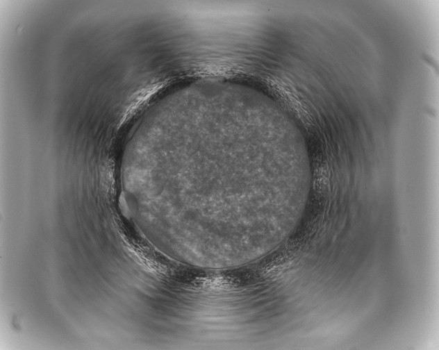 X0000098110688200804181452
