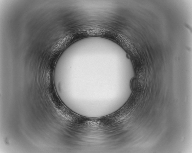 X0000098110690200804181452