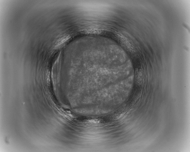 X0000098110692200804181452