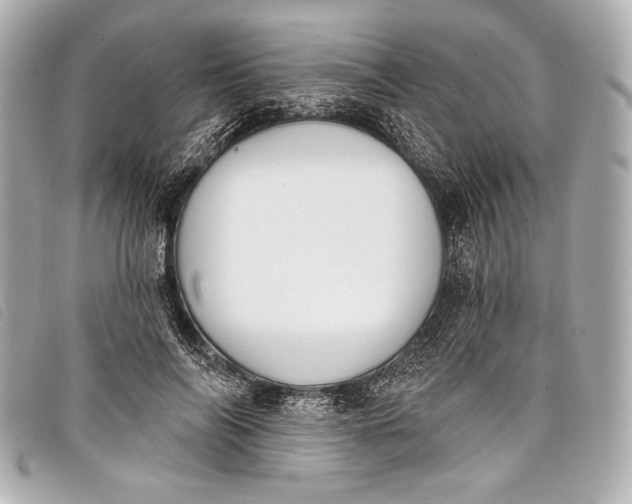 X0000098110694200804181452