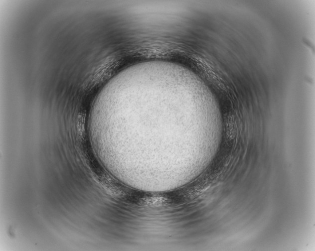 X0000098110695200804181452
