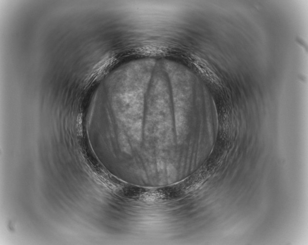 X0000098110696200804181452