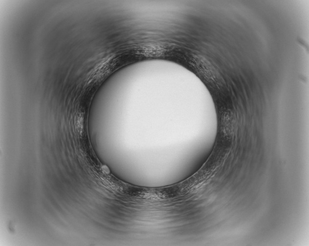 X0000098110697200804181452