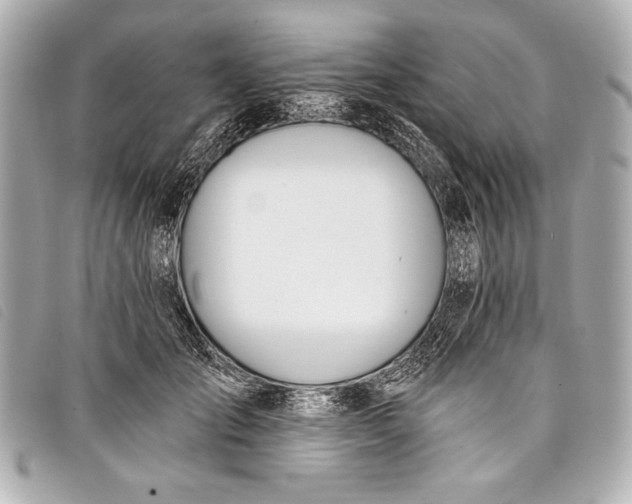 X0000098110701200804181452