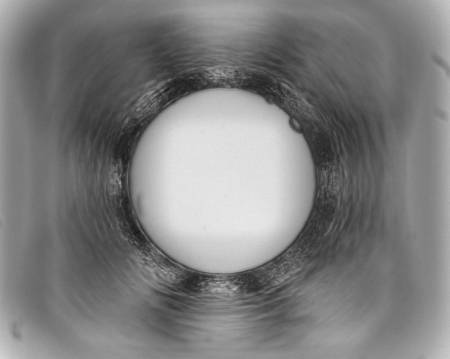 X0000098110702200804181452