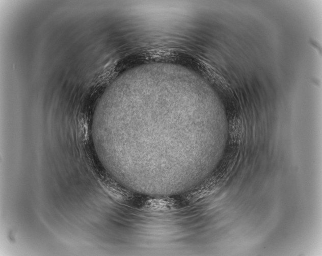 X0000098110703200804181452