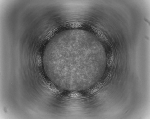 X0000098110704200804181452