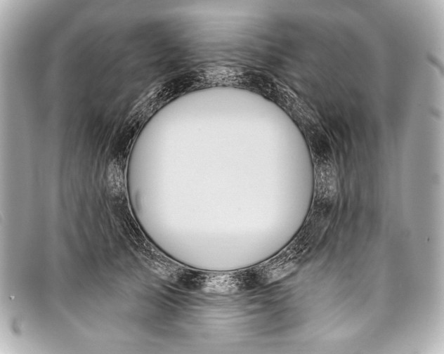 X0000098110705200804181452