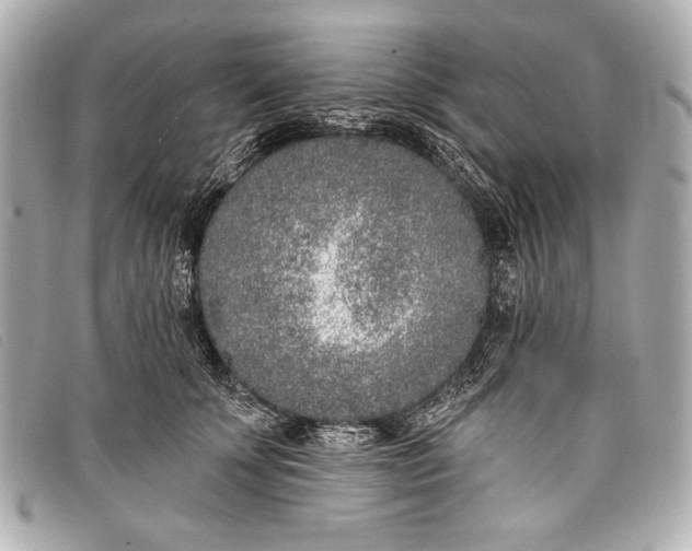 X0000098110707200804181452