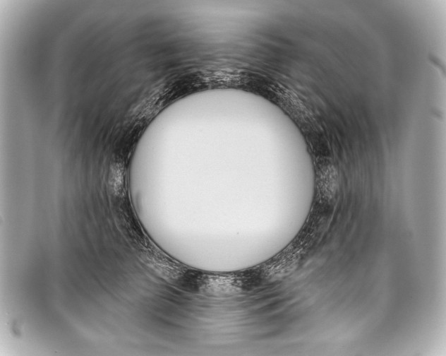 X0000098110709200804181452